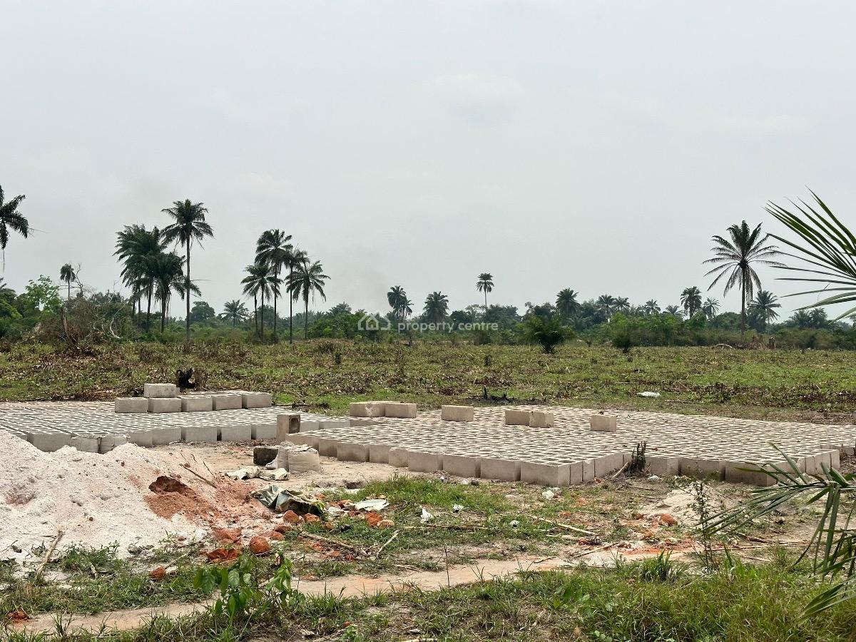 Affordable Farm Land with High Roi Potential, Aiyepe Odogbolu, Odogbolu, Ogun, Tank Farm for Sale