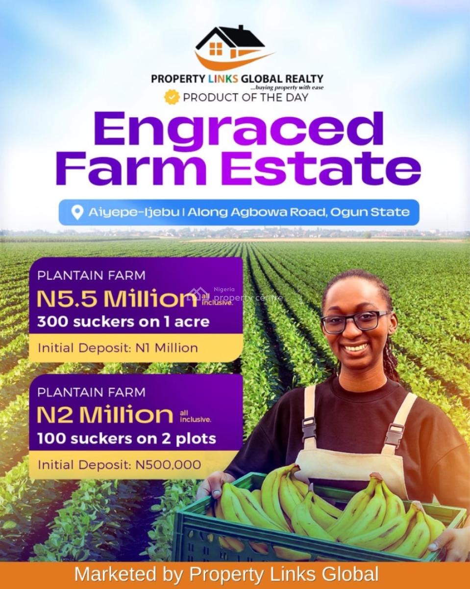 Affordable Farm Land with High Roi Potential, Aiyepe Odogbolu, Odogbolu, Ogun, Tank Farm for Sale