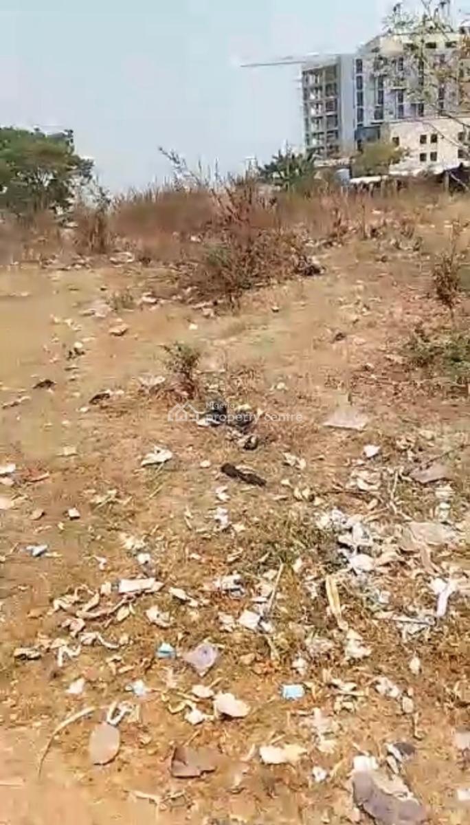 4,000 Sqm of Land, Central Business District, Abuja, Land for Rent