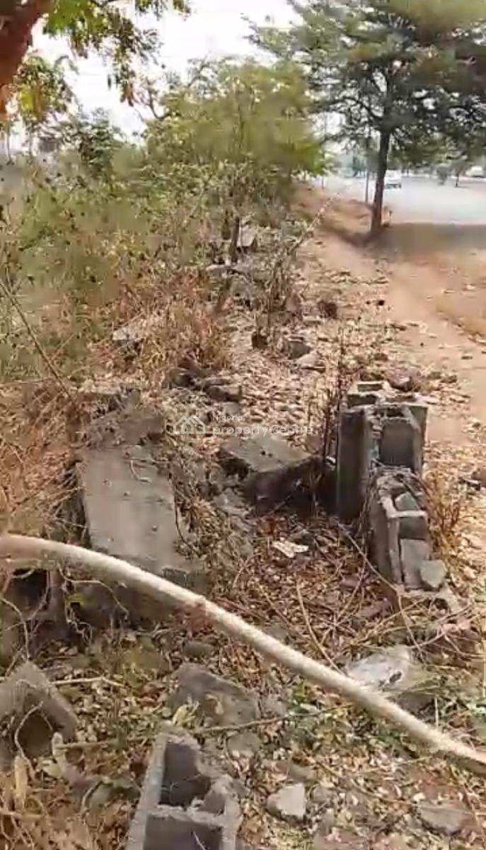 2,000 Sqm of Land, Central Business District, Abuja, Land for Rent