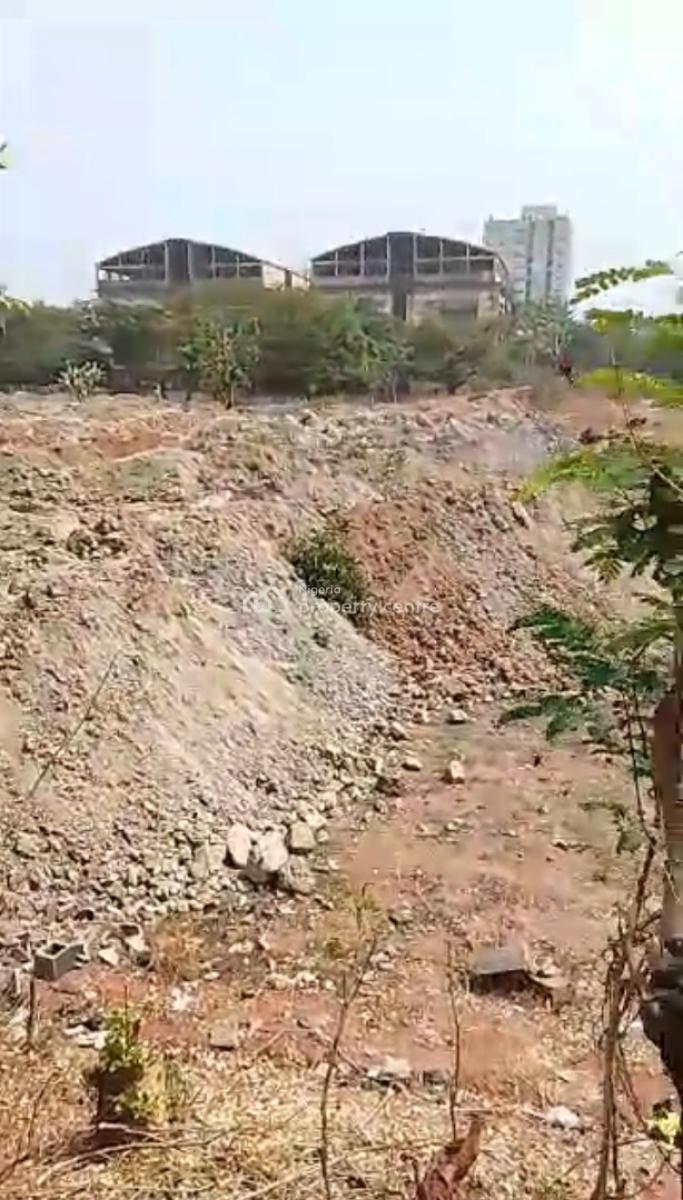 2,000 Sqm of Land, Central Business District, Abuja, Land for Rent