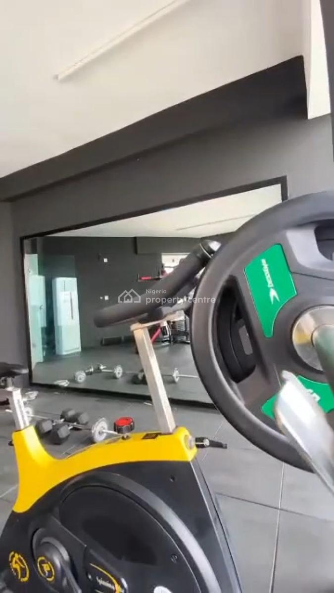 Fully Furnished 2 Bedrooms Mansionette Duplex, Banana Island, Ikoyi, Lagos, Flat / Apartment for Rent