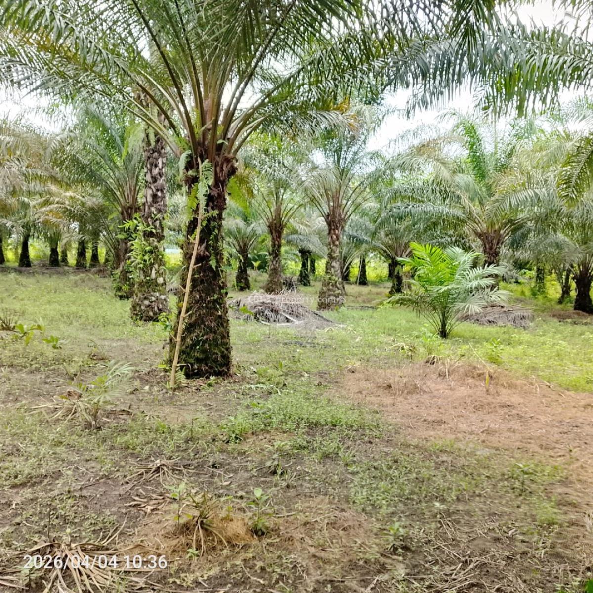 19 Plots with Palm Trees Going for 38m, 28 Irikefe Street Emevor Town Close to Emevor Mixed Secondary School, Isoko South, Delta, Mixed-use Land for Sale