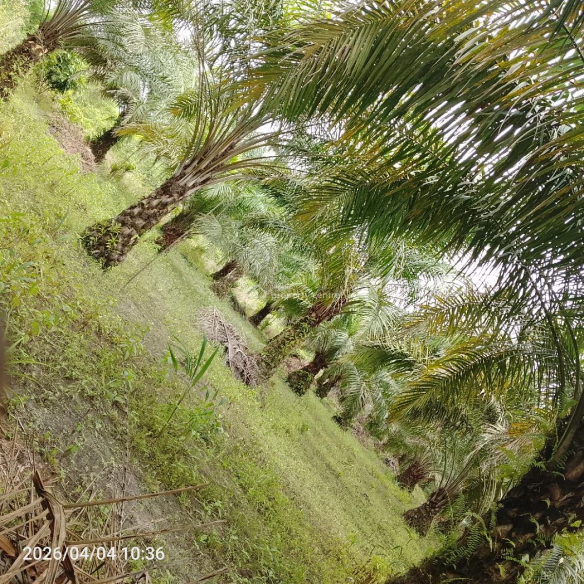 19 Plots with Palm Trees Going for 38m, 28 Irikefe Street Emevor Town Close to Emevor Mixed Secondary School, Isoko South, Delta, Mixed-use Land for Sale