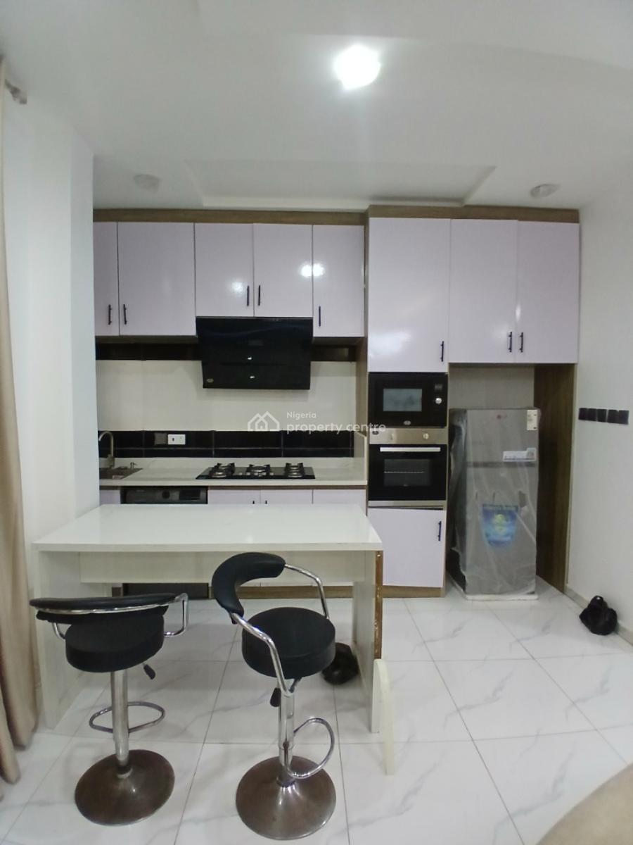Furnished and Serviced with 24/7 Power Supply 2 Bedroom En-suite Flat, Ikate, Lekki, Lagos, Flat / Apartment for Rent