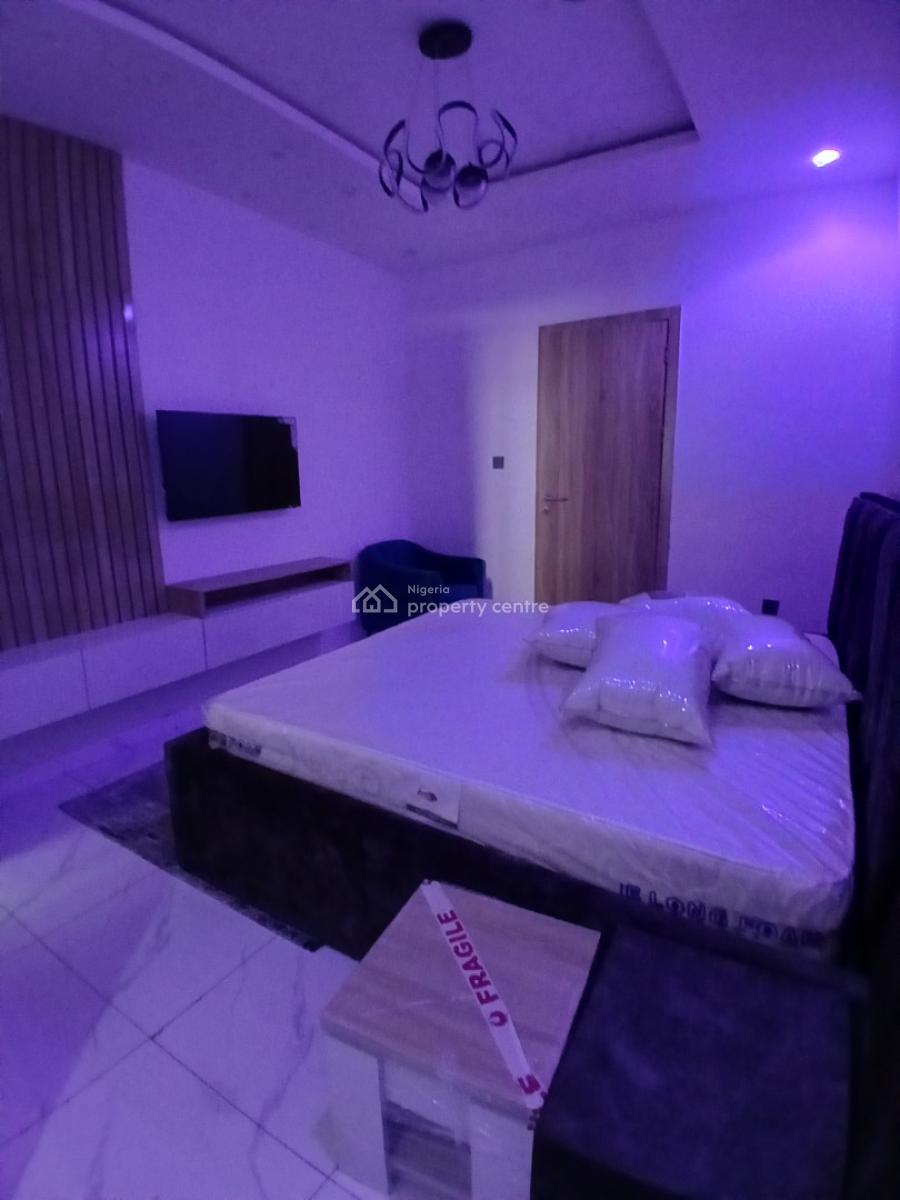 Furnished and Serviced with 24/7 Power Supply 2 Bedroom En-suite Flat, Ikate, Lekki, Lagos, Flat / Apartment for Rent
