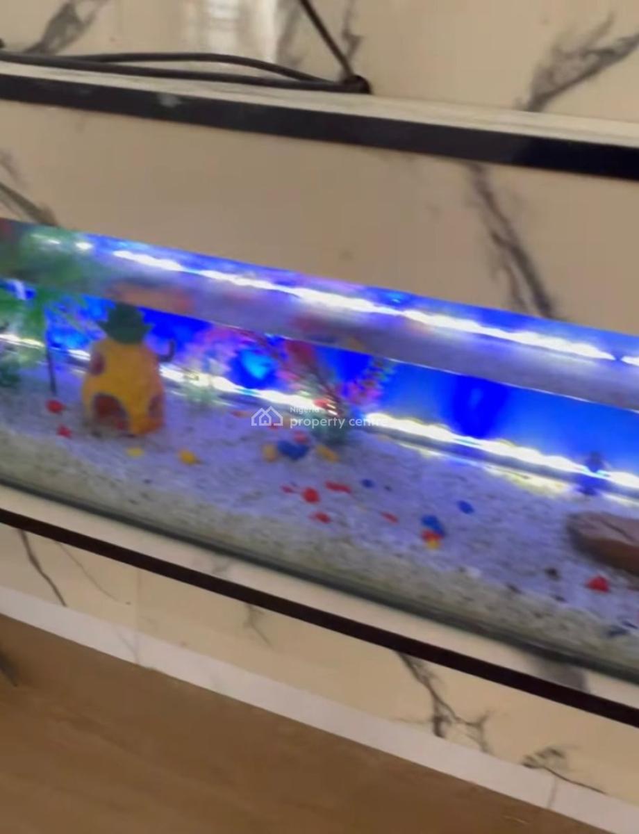 Lovely 5 Bedroom Fully Detached Duplex, General Paint, Ajah, Lagos, Detached Duplex for Rent