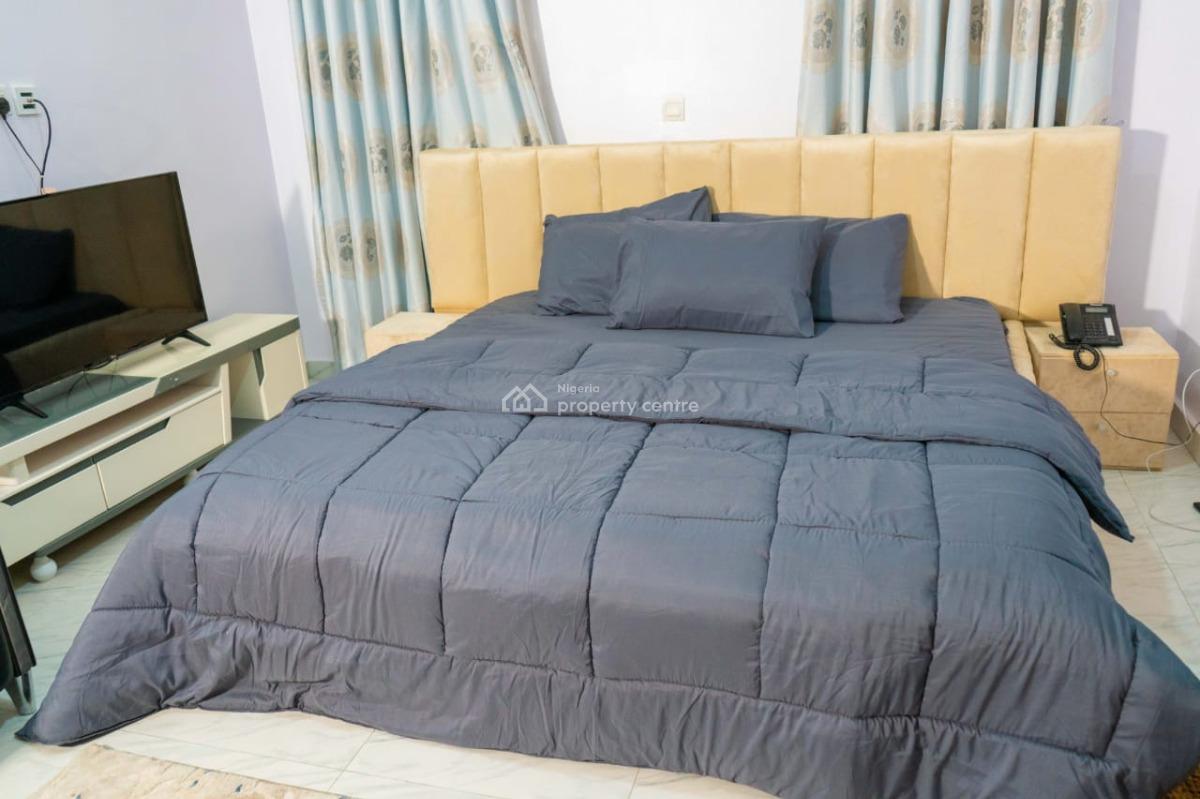 Luxury Furnished and Serviced 2 Bedroom  Flat with Bq, Ikoyi, Lagos, Flat / Apartment for Rent