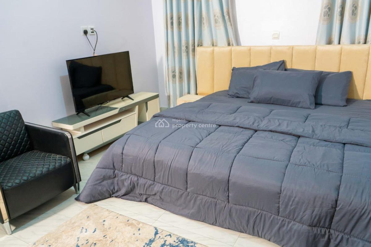 Luxury Furnished and Serviced 2 Bedroom  Flat with Bq, Ikoyi, Lagos, Flat / Apartment for Rent