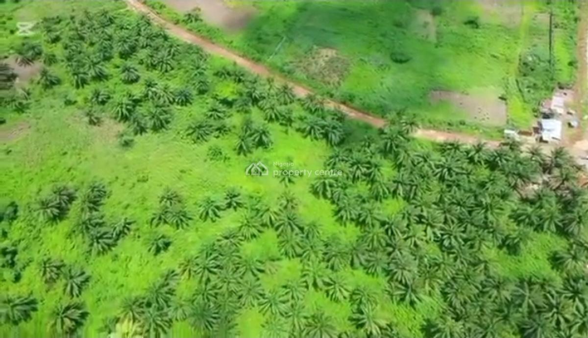 82.817 Acres Has 60,000  Tree Which Is Used in Producing Palm Oil., Agbara-igbesa, Lagos, Commercial Land for Sale