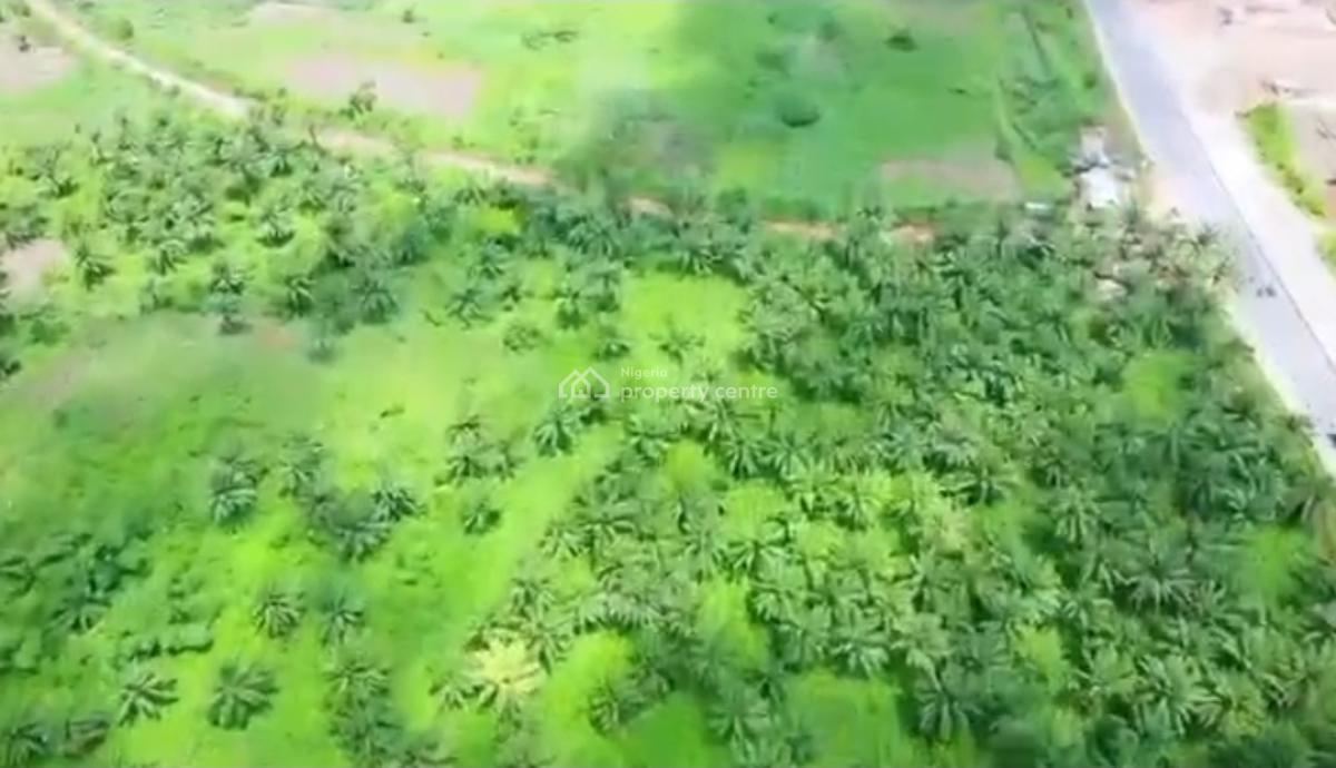 82.817 Acres Has 60,000  Tree Which Is Used in Producing Palm Oil., Agbara-igbesa, Lagos, Commercial Land for Sale