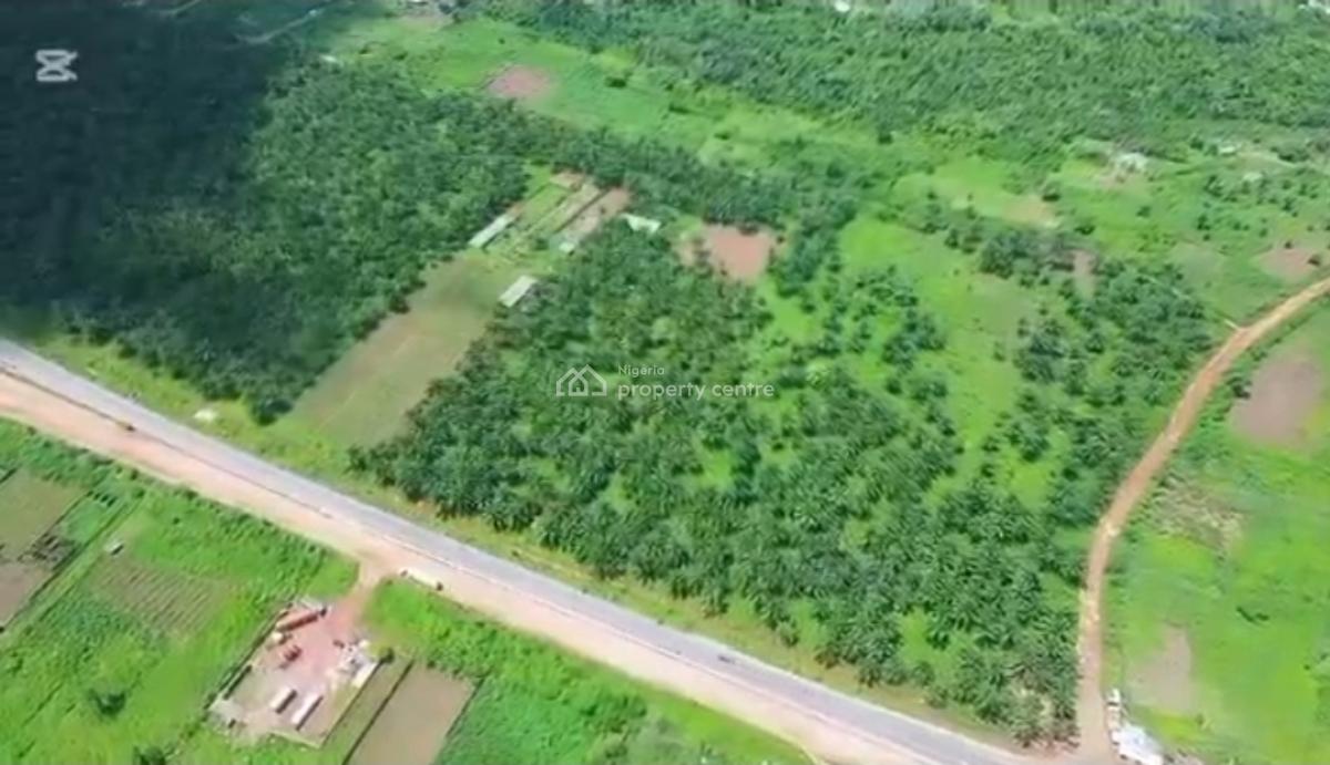 82.817 Acres Has 60,000  Tree Which Is Used in Producing Palm Oil., Agbara-igbesa, Lagos, Commercial Land for Sale