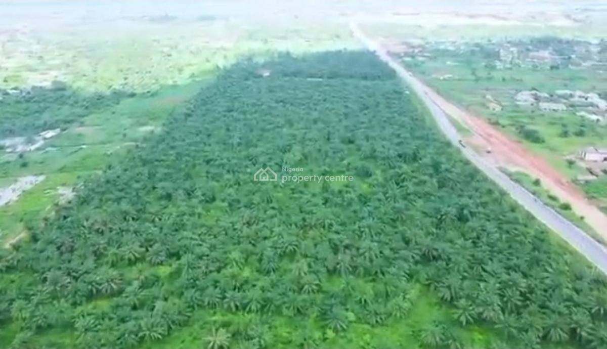 82.817 Acres Has 60,000  Tree Which Is Used in Producing Palm Oil., Agbara-igbesa, Lagos, Commercial Land for Sale