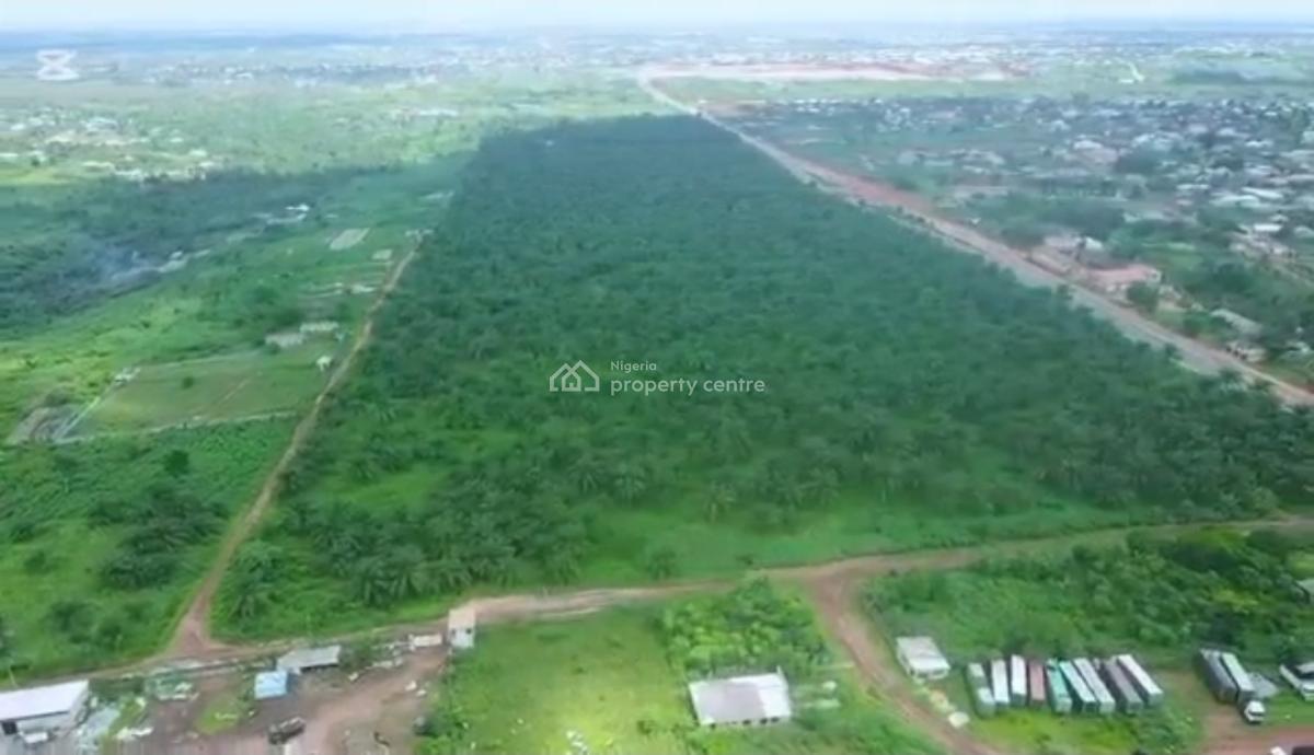 82.817 Acres Has 60,000  Tree Which Is Used in Producing Palm Oil., Agbara-igbesa, Lagos, Commercial Land for Sale