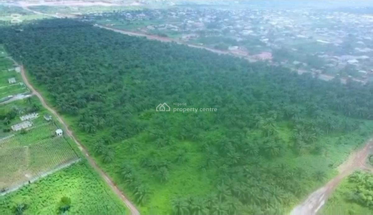 82.817 Acres Has 60,000  Tree Which Is Used in Producing Palm Oil., Agbara-igbesa, Lagos, Commercial Land for Sale