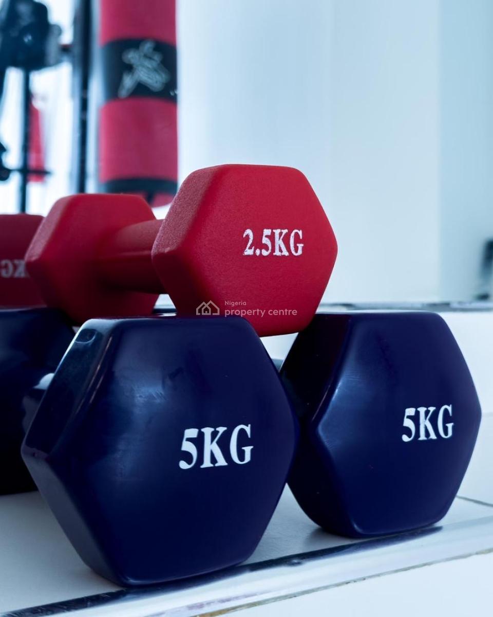 Premium Fully Serviced 2-bedroom Apartment with Pool, Gym & Elevator, Lekki Phase 1, Lekki, Lagos, Flat / Apartment for Sale