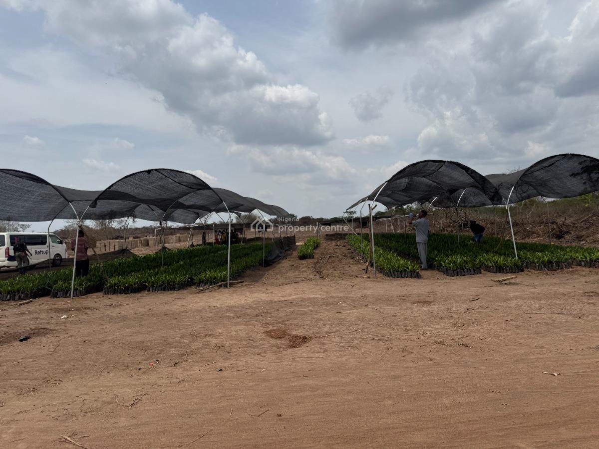 Palm Crest Phase 3, Okeho Iseyin Ibadan, Iseyin, Oyo, Land for Sale