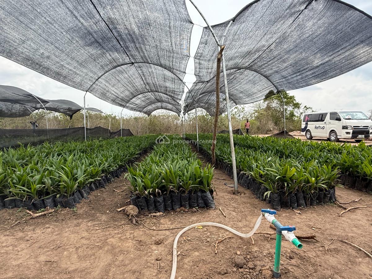 Palm Crest Phase 3, Okeho Iseyin Ibadan, Iseyin, Oyo, Land for Sale