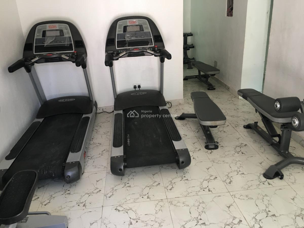 Serviced Newly Built Mini Flat with 2 Toilets, Gra, Apapa, Lagos, Mini Flat (room and Parlour) for Rent