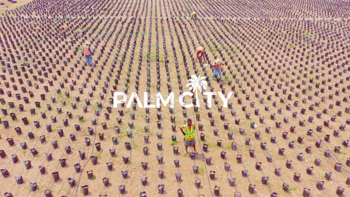 64 Oil Palm Trees with 6 Plots of Land, Ogbomosho, Oyo, Ogbomosho North, Oyo, Industrial Land for Sale