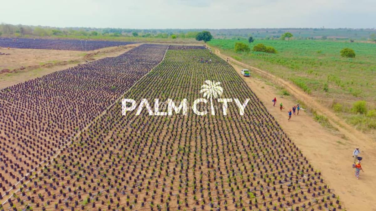 64 Oil Palm Trees with 6 Plots of Land, Ogbomosho, Oyo, Ogbomosho North, Oyo, Industrial Land for Sale