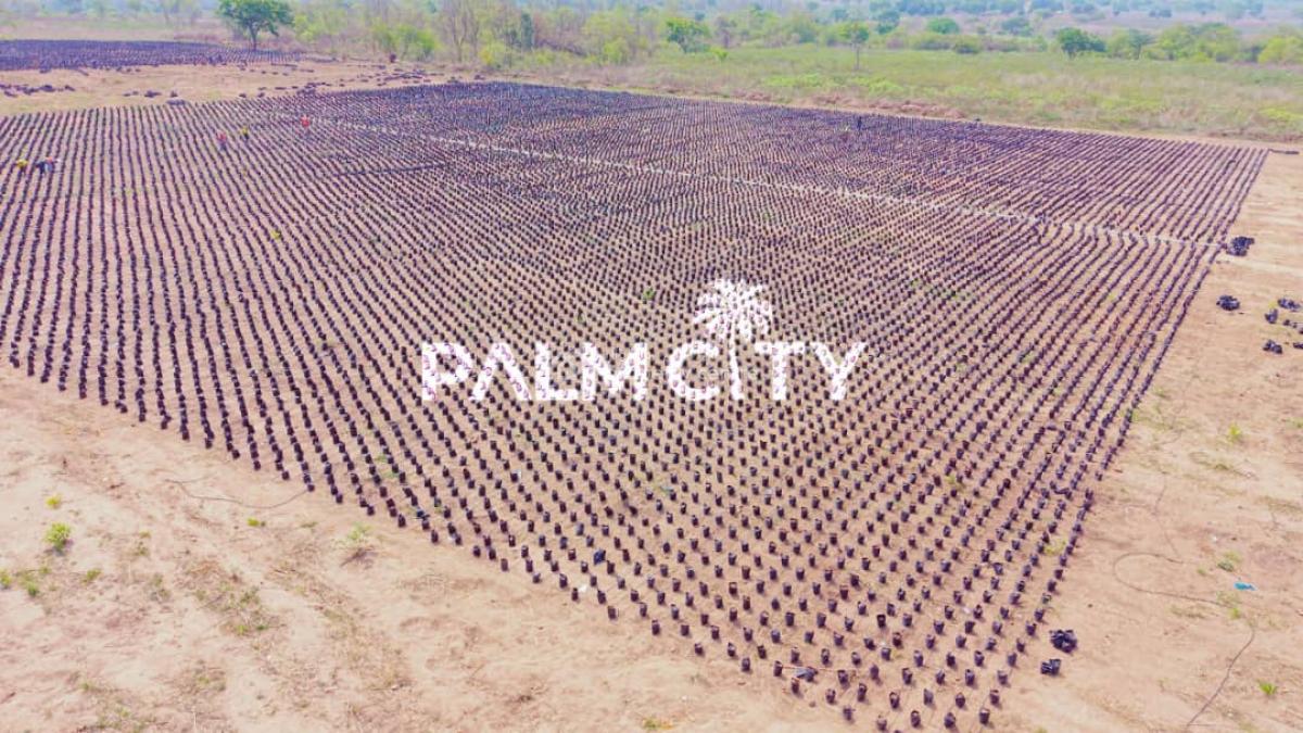 64 Oil Palm Trees with 6 Plots of Land, Ogbomosho, Oyo, Ogbomosho North, Oyo, Industrial Land for Sale