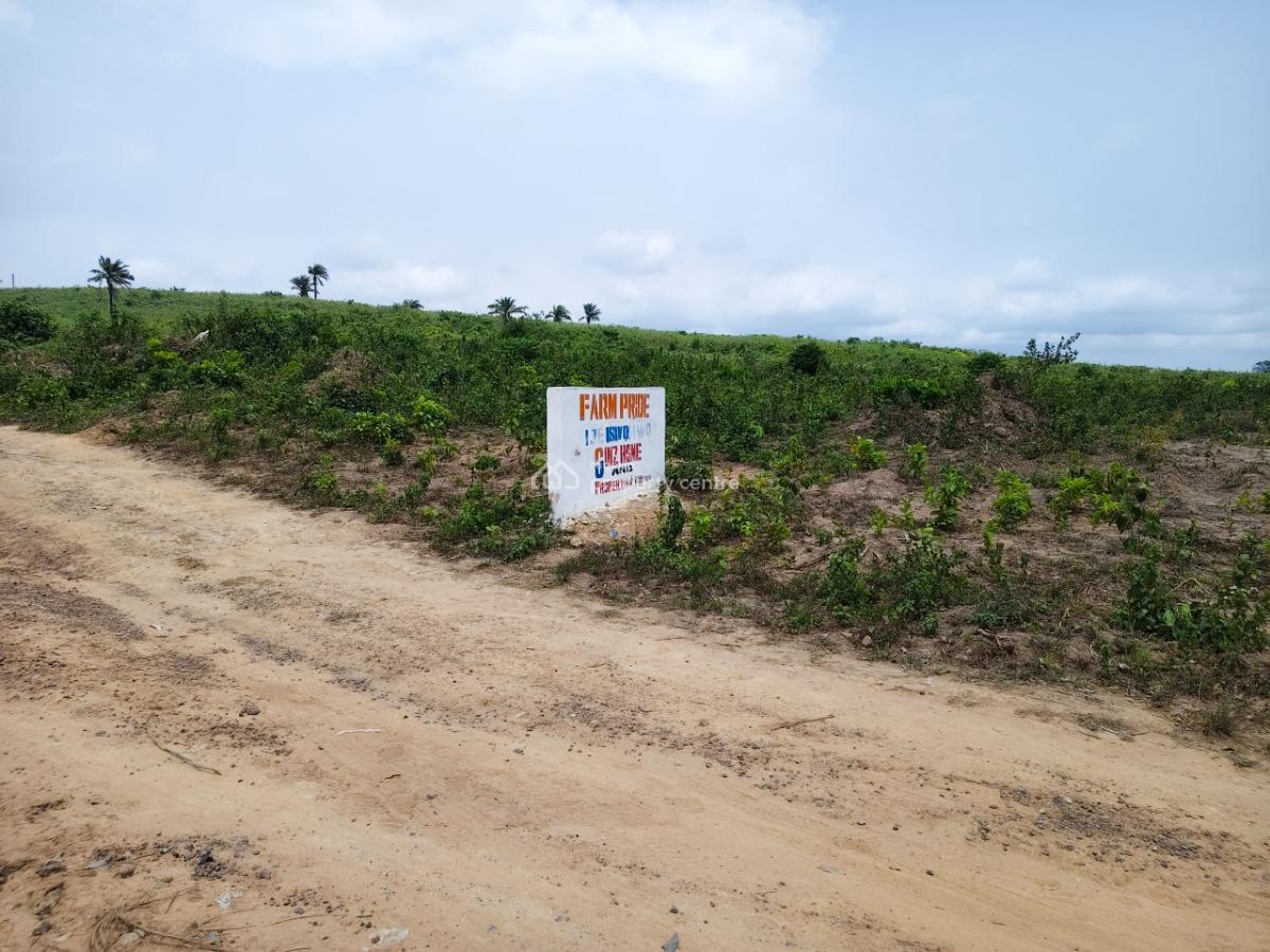 Hot Deal: Dry Farm Land in Fast-growing Area, Farm Pride Isiwo, Ijebu Ode, Ogun, Commercial Land for Sale