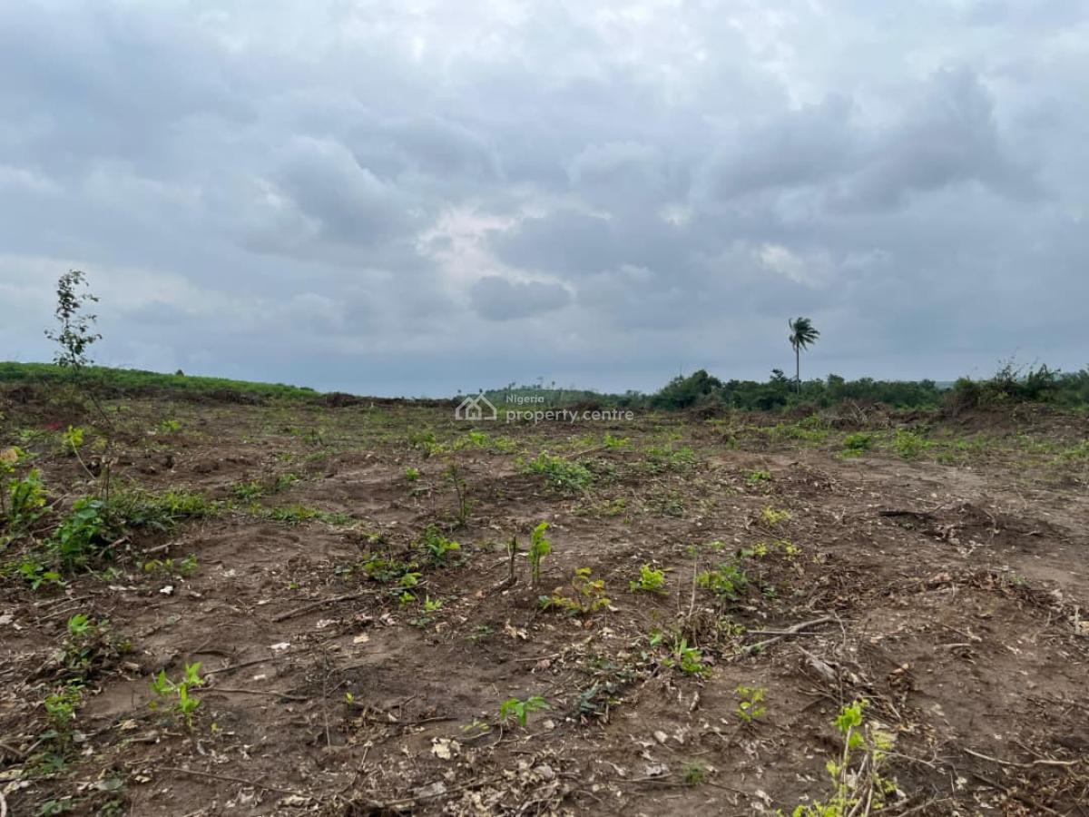 Hot Deal: Dry Farm Land in Fast-growing Area, Farm Pride Isiwo, Ijebu Ode, Ogun, Commercial Land for Sale