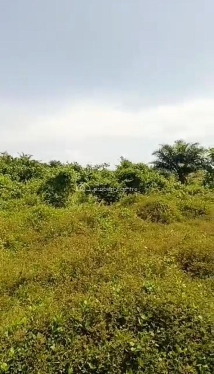 Land Measuring 14 Plots of Dry-land, Jehovah Witness Road, Bogije, Ibeju Lekki, Lagos, Mixed-use Land for Sale