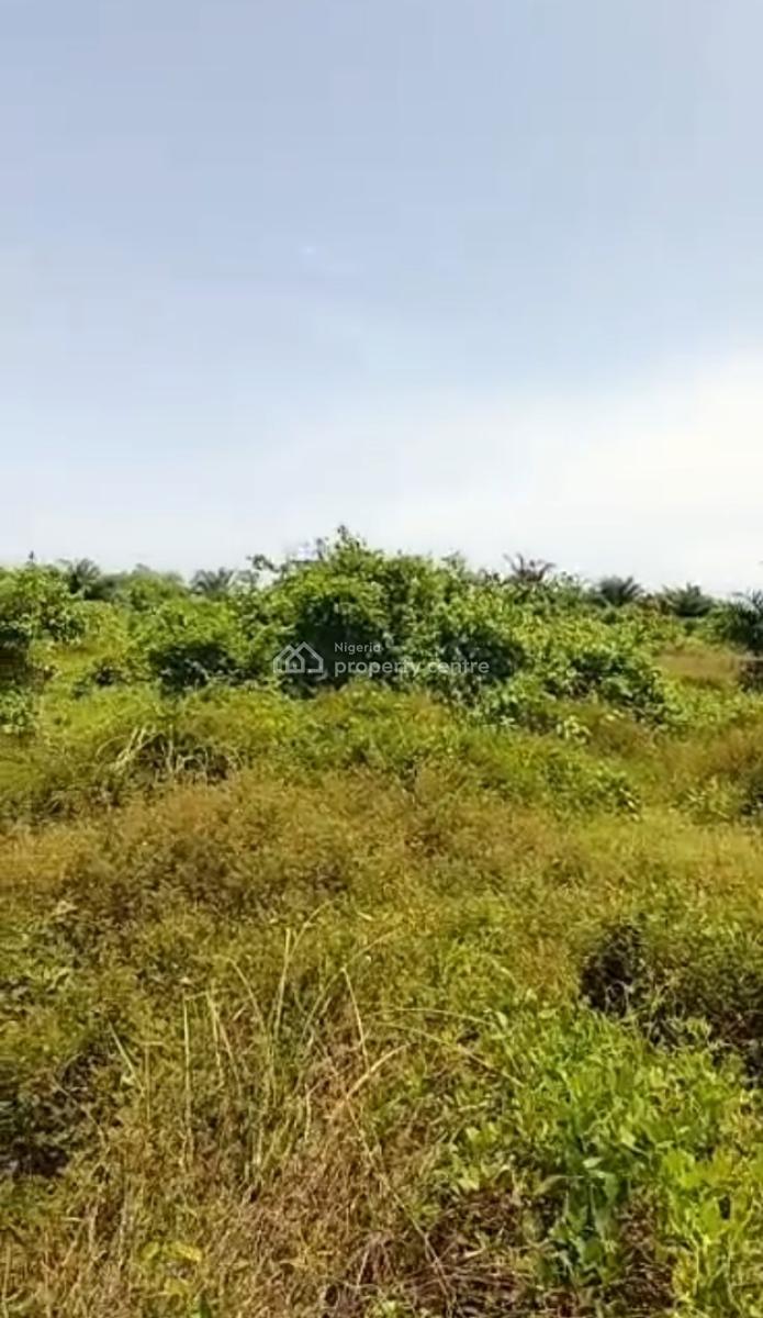 Land Measuring 14 Plots of Dry-land, Jehovah Witness Road, Bogije, Ibeju Lekki, Lagos, Mixed-use Land for Sale