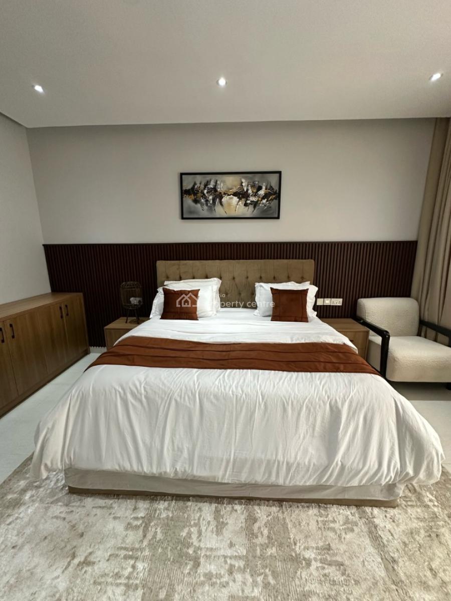 Premium 2-bedroom Fully Furnished & Serviced Apartment, Main Asokoro, Asokoro District, Abuja, Flat / Apartment for Rent