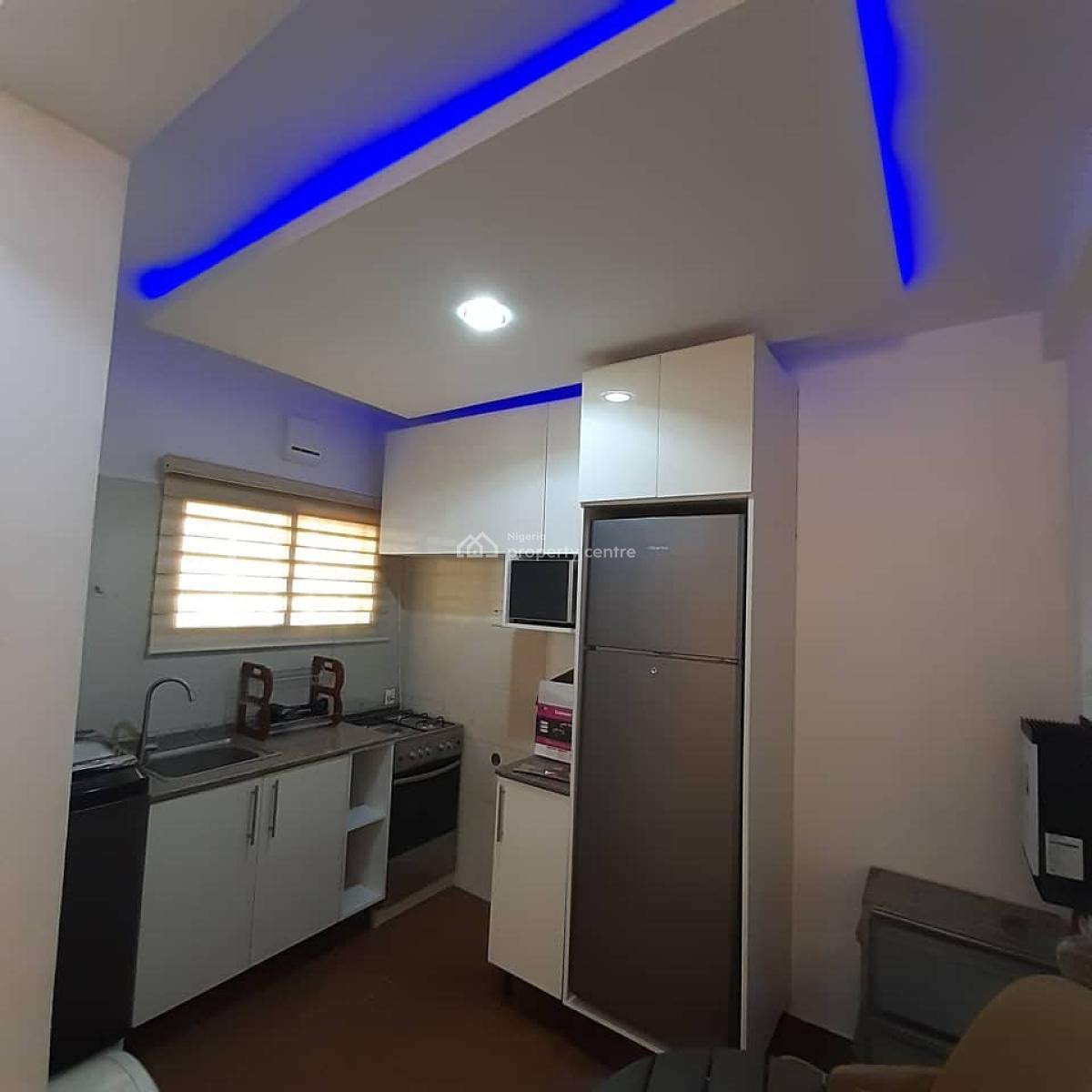 Luxury Furnished One Bedroom in Wuye, Wuye, Abuja, Mini Flat (room and Parlour) for Rent
