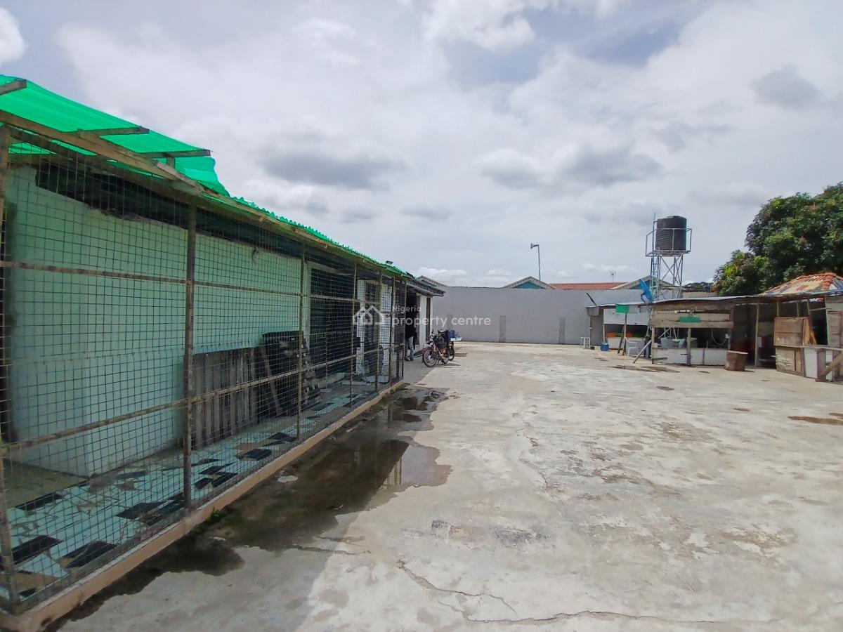 Double Shops on The Ground Floor, Ado, Ajah, Lagos, Shop for Rent