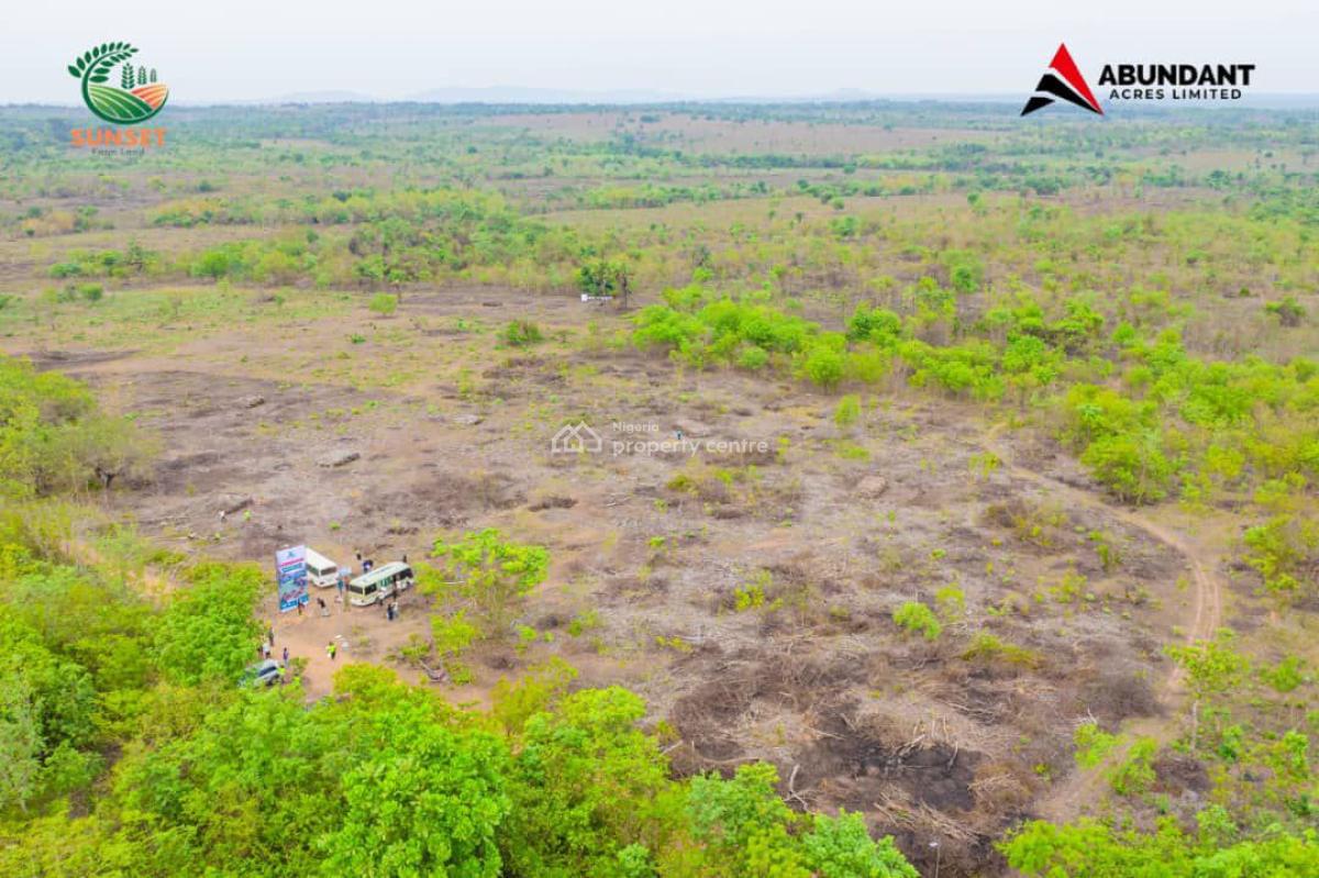 Govt Approved Palm Oil Estate Strategically Located, Oil Gold Farm Odega L.g.a, Odeda, Ogun, Commercial Land for Sale