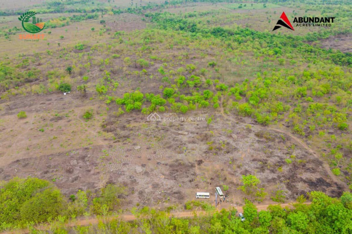 Govt Approved Palm Oil Estate Strategically Located, Oil Gold Farm Odega L.g.a, Odeda, Ogun, Commercial Land for Sale