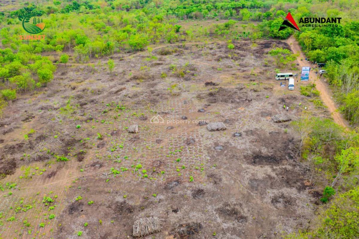Govt Approved Palm Oil Estate Strategically Located, Oil Gold Farm Odega L.g.a, Odeda, Ogun, Commercial Land for Sale