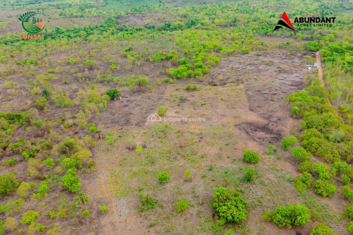 Govt Approved Palm Oil Estate Strategically Located, Oil Gold Farm Odega L.g.a, Odeda, Ogun, Commercial Land for Sale