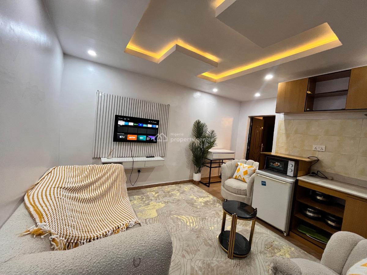 Finished Luxury 1bedroom Serviced Apartment, Adeniyi Jones Avenue, Off, Allen, Ikeja, Lagos, Mini Flat (room and Parlour) Short Let