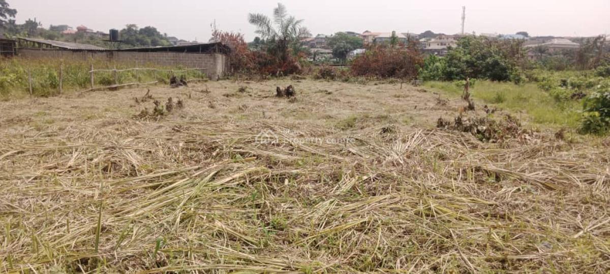 Affordable Full Plot of Land with Registered Survey, Ogundimu, Iju-ishaga, Agege, Lagos, Residential Land for Sale