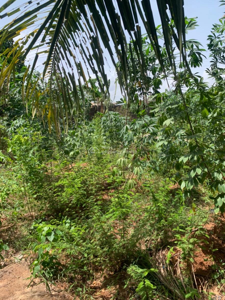Full Plot of Land (close to The Road) and Uncompleted Structure, Close to The Road, Ijede, Lagos, Land for Sale