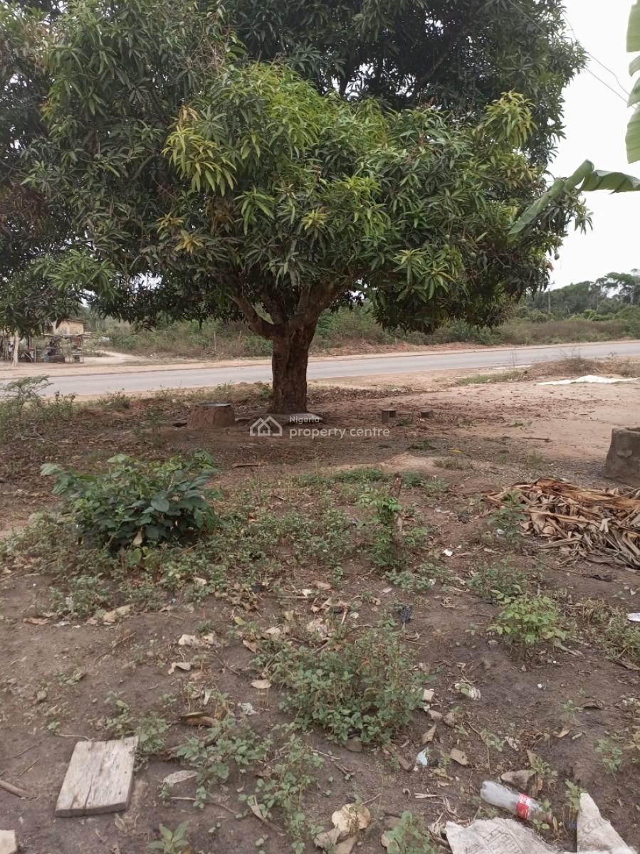 Full Plot Facing Expressway, Ilado, Ijebu East, Ogun, Commercial Land for Sale