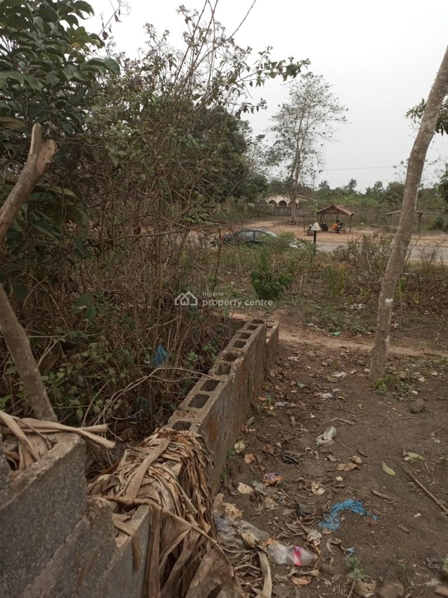 Full Plot Facing Expressway, Ilado, Ijebu East, Ogun, Commercial Land for Sale