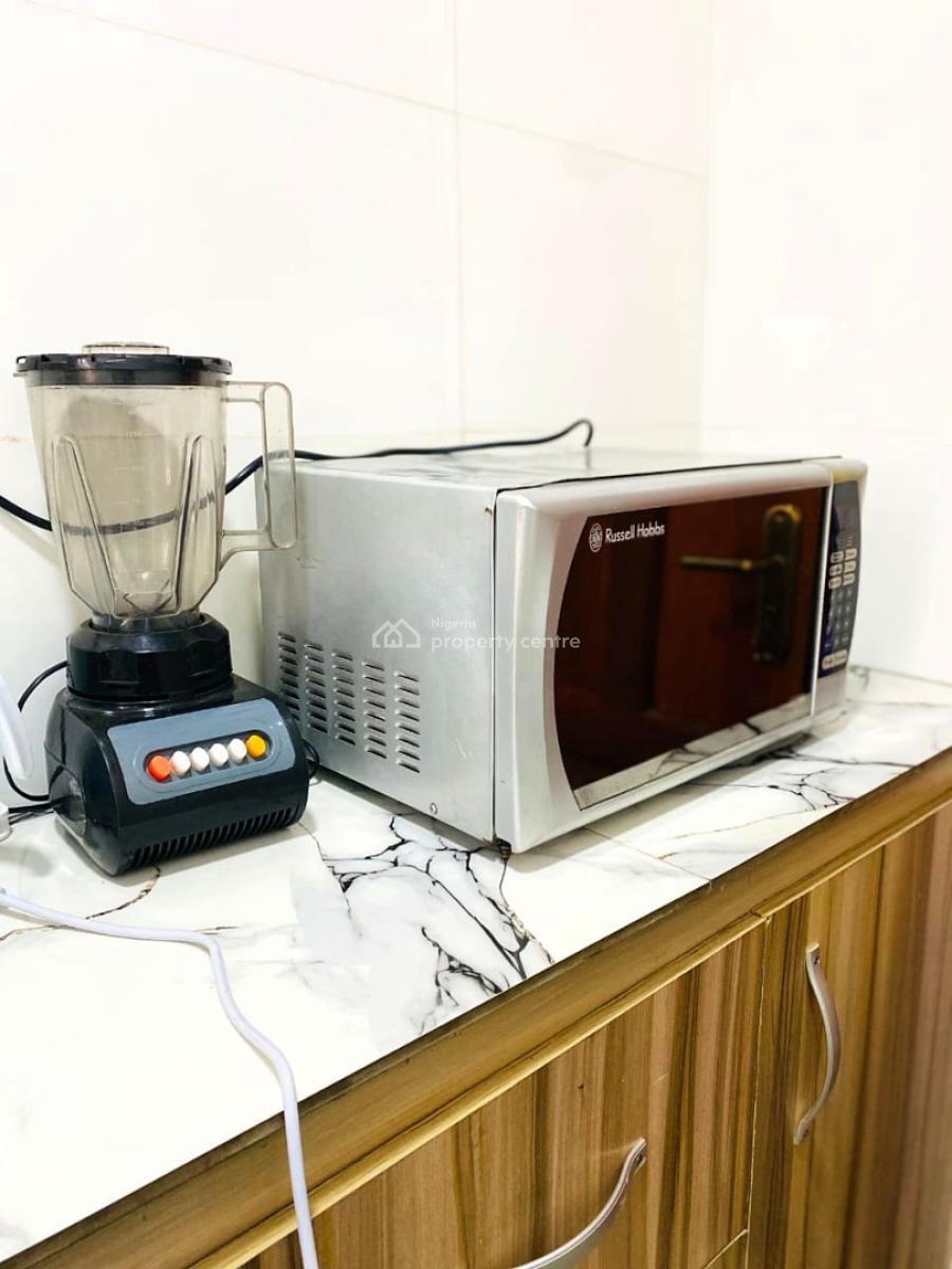 Comfortably Furnished and Serviced Luxury 1 Bedroom Apartment, Off Ajayi Road, By Ogba Bus Stop, Ogba, Ikeja, Lagos, Mini Flat (room and Parlour) Short Let