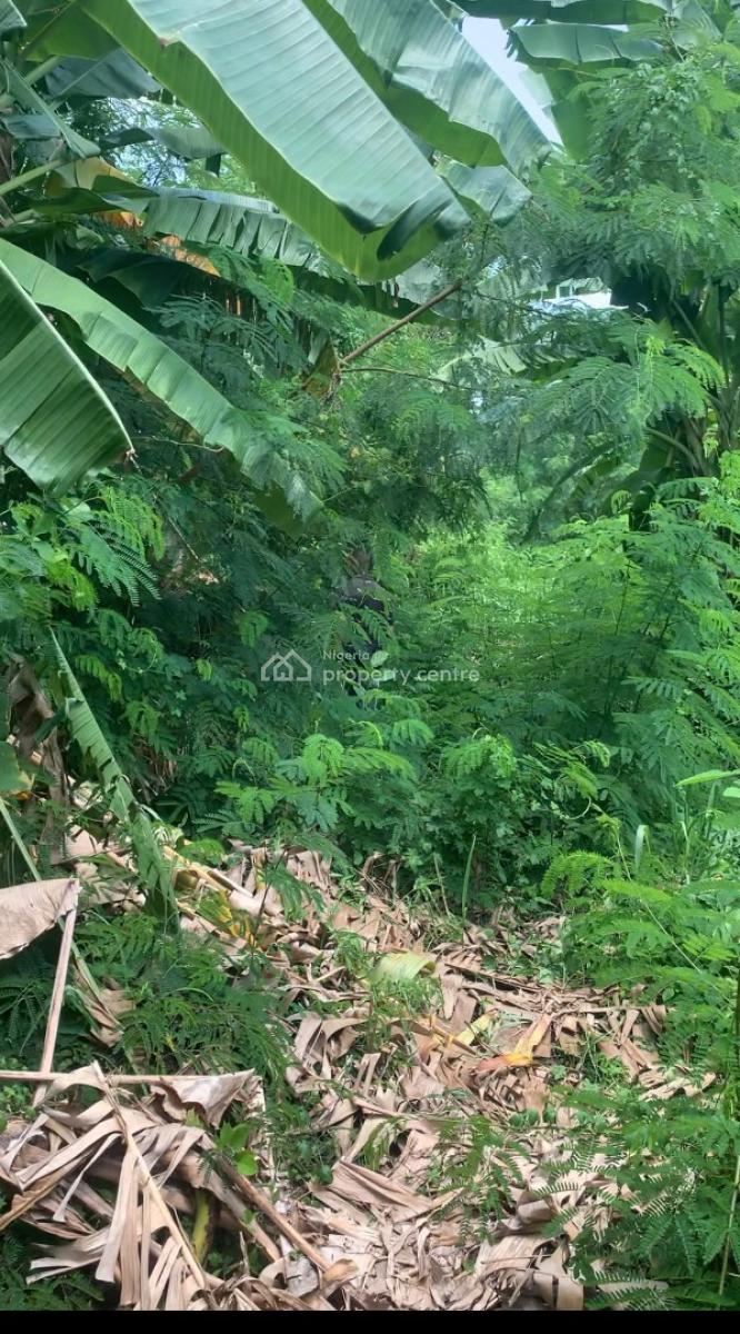 Fully Fenced Land in Ikoyi, Ikoyi, Lagos, Mixed-use Land for Sale