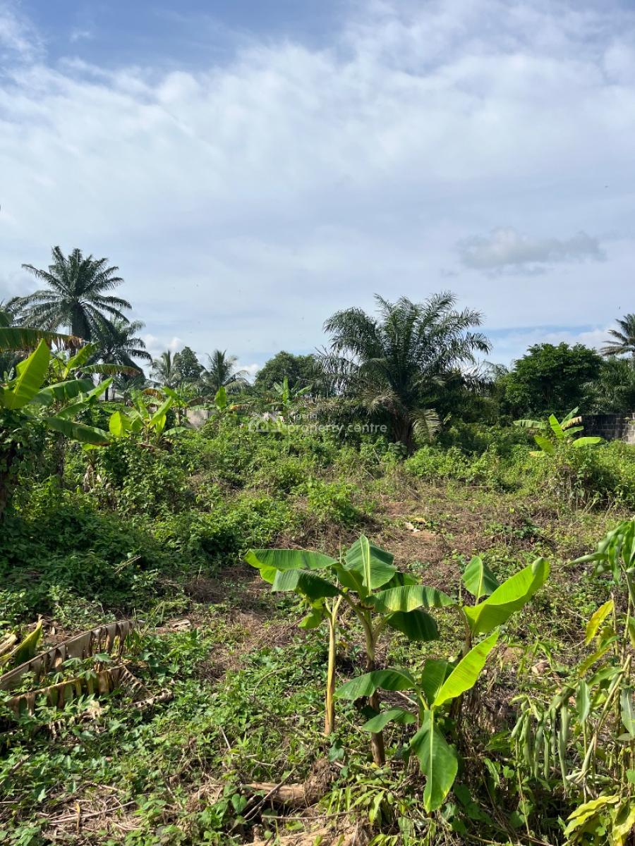 a Parcel of Dry Land, Holy Itu Road, Ikot Ekpene, Uyo, Akwa Ibom, Mixed-use Land for Sale