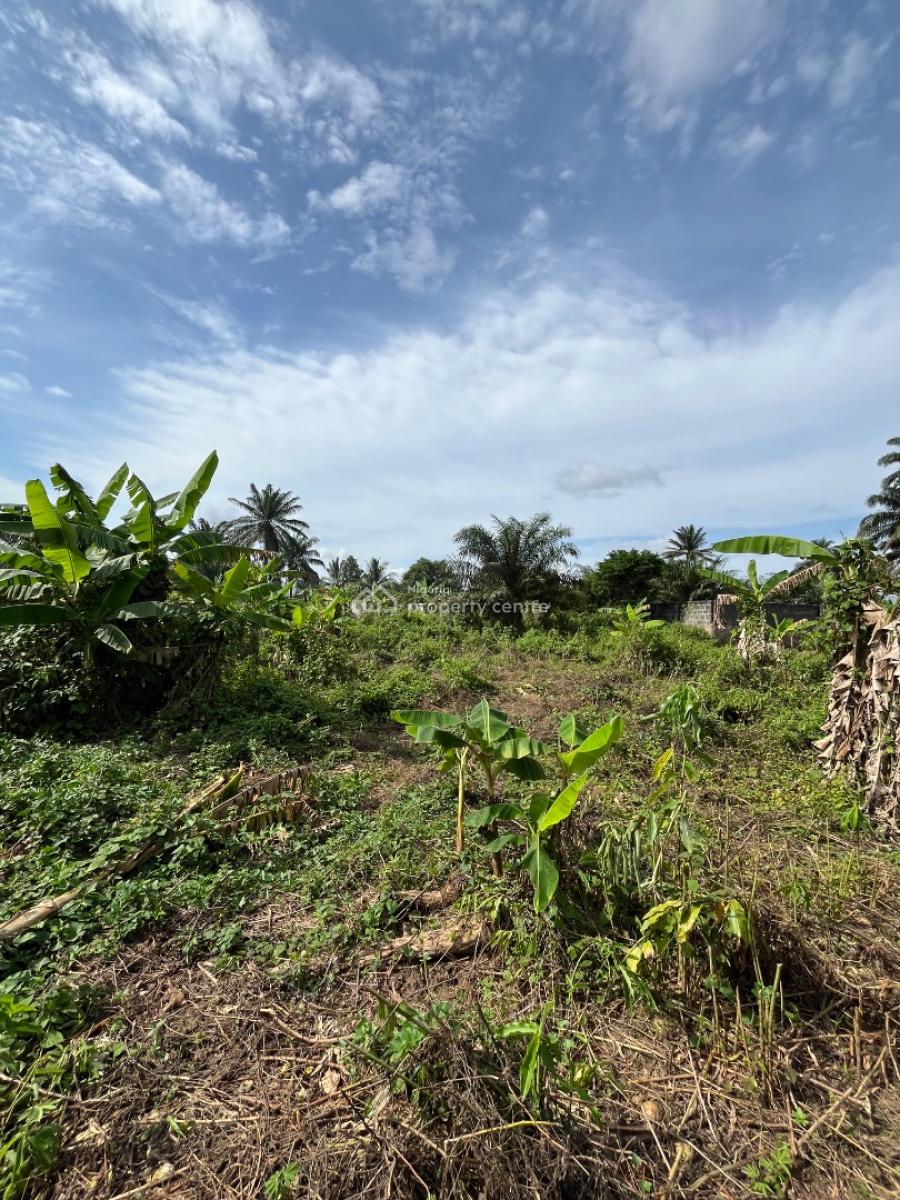 a Parcel of Dry Land, Holy Itu Road, Ikot Ekpene, Uyo, Akwa Ibom, Mixed-use Land for Sale