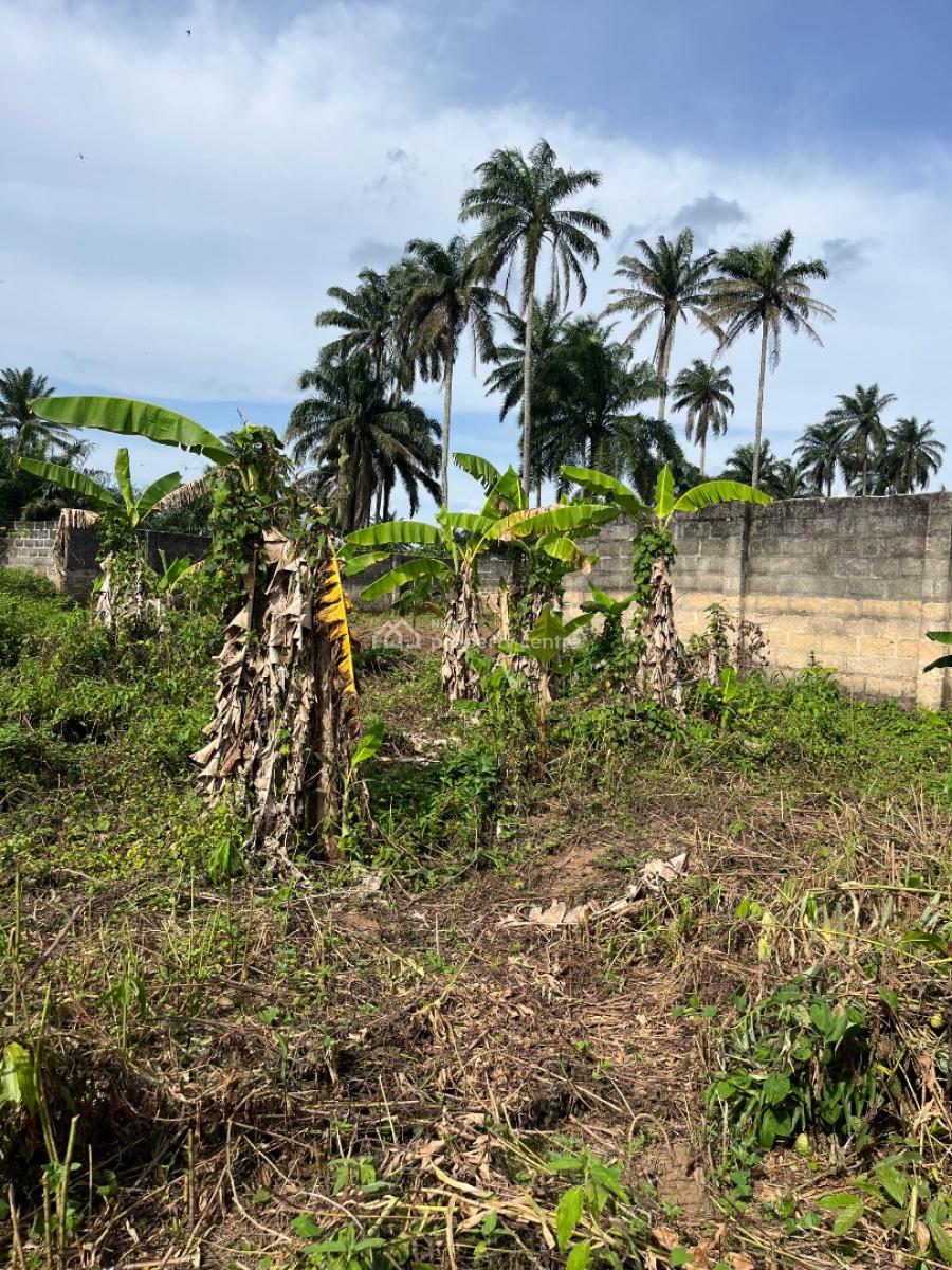 a Parcel of Dry Land, Holy Itu Road, Ikot Ekpene, Uyo, Akwa Ibom, Mixed-use Land for Sale