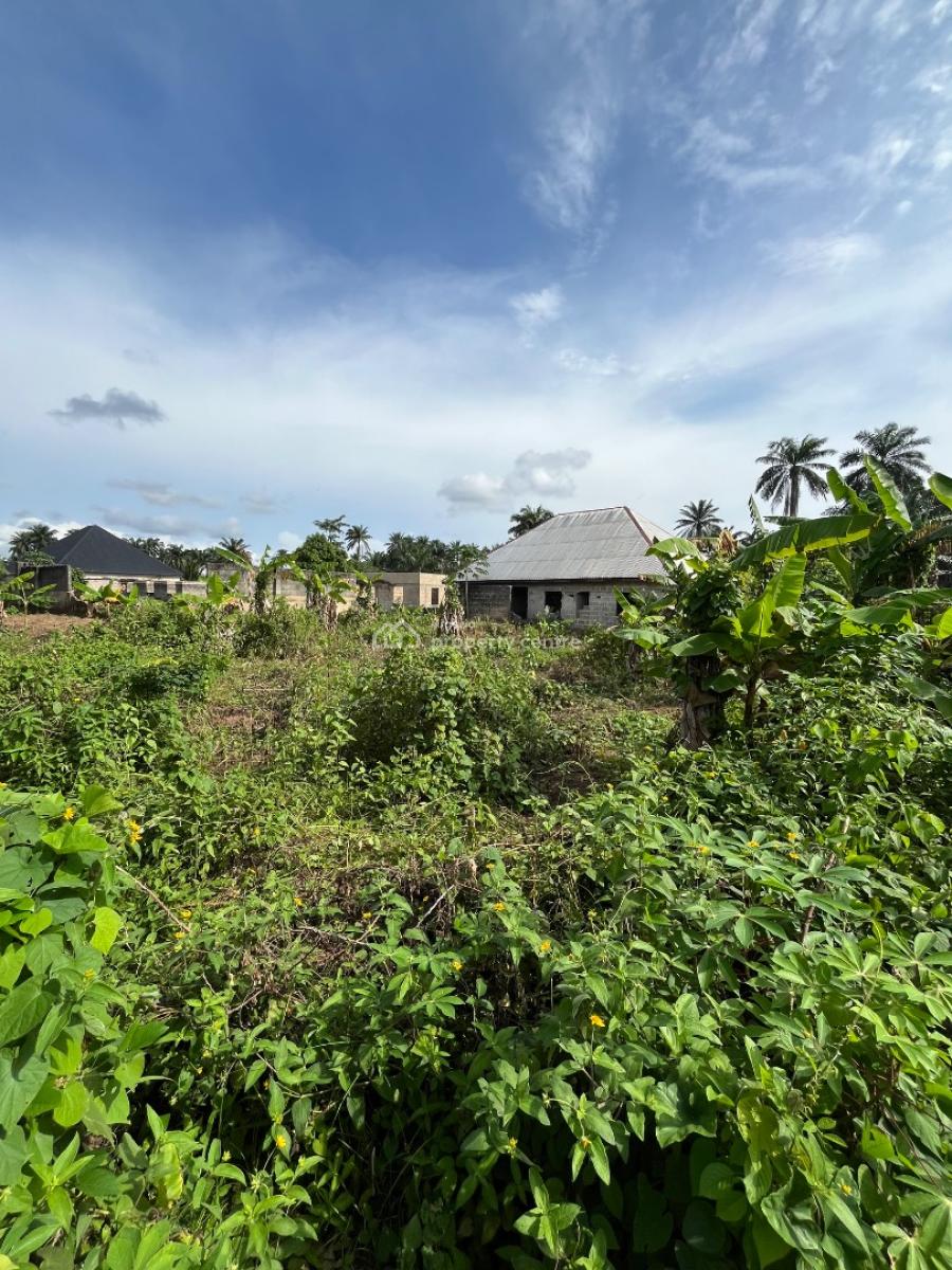 a Parcel of Dry Land, Holy Itu Road, Ikot Ekpene, Uyo, Akwa Ibom, Mixed-use Land for Sale