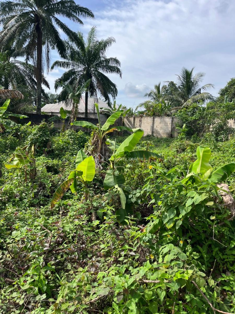 a Parcel of Dry Land, Holy Itu Road, Ikot Ekpene, Uyo, Akwa Ibom, Mixed-use Land for Sale