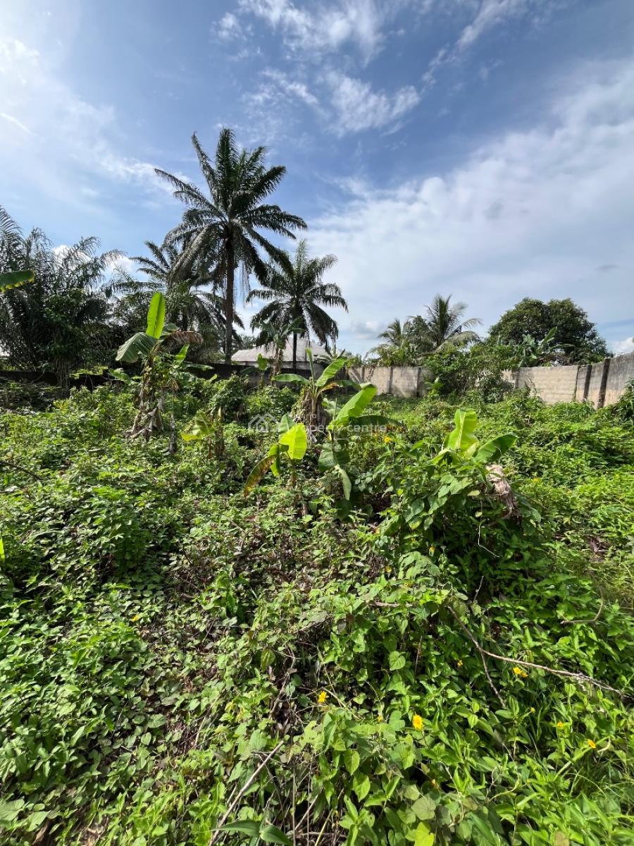 a Parcel of Dry Land, Holy Itu Road, Ikot Ekpene, Uyo, Akwa Ibom, Mixed-use Land for Sale
